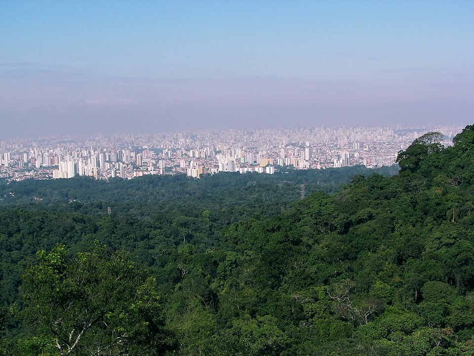 Vista de São Paulo a partir do Mirante Pedra Grande, com a mata em primeiro plano